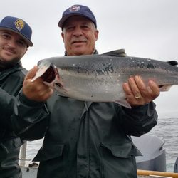 Pelican Inn Charters - Mich Silver Salmon!