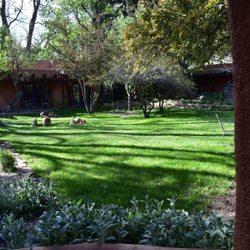 Grassy area between our room and the main building