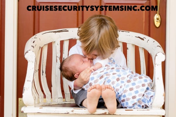 Cruise Security Systems