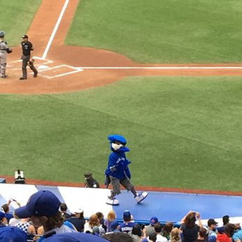 Rogers Centre - The mascot. - Stadiums & Arenas Near Me - Toronto, Ontario Rogers Centre - The mascot. - Stadiums & Arenas Near Me - Toronto, Ontario