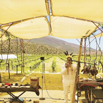 Baja Luxury Wine Tours - Wine Tours Near Me - Rosarito, BCN