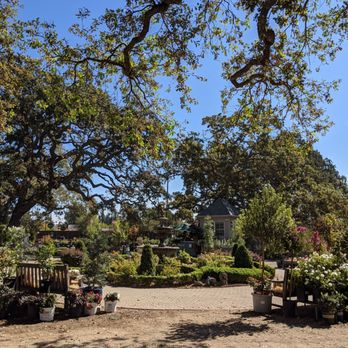 Alden Lane Nursery - Nurseries & Gardening Near Me - Livermore, California