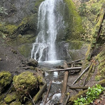 Marymere Falls - The waterfall! - Hiking Near Me - Port Angeles, Washington Marymere Falls - The waterfall! - Hiking Near Me - Port Angeles, Washington