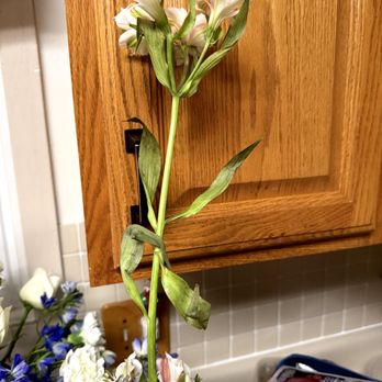 Designs By Guzzardos - See ... original bouquet was, and even still is, after TWO DAYS, better quality than the 2nd delivery. And that's bad - Florists Near Me - Melrose Park, Illinois