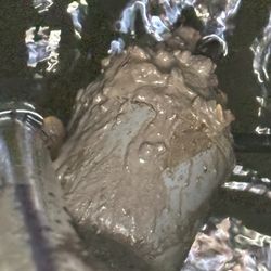 Jackey Lackey Septic Service