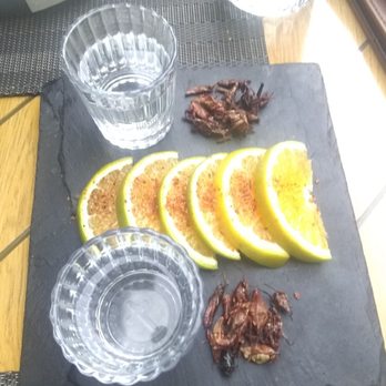 La Casona del Arco - Mezcal, orange slices, and fried crickets - Mexican Near Me - León, GUA La Casona del Arco - Mezcal, orange slices, and fried crickets - Mexican Near Me - León, GUA