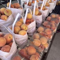 Kappus Farms - Peach harvest!
