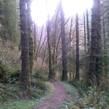 Sweet creek trail - Hiking Near Me - Mapleton, Oregon Sweet creek trail - Hiking Near Me - Mapleton, Oregon