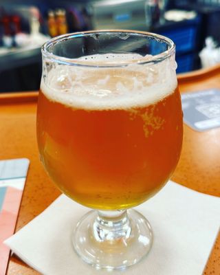 Sycamore Brewing by null