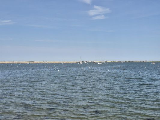 Salem Witch Trials Memorial by null