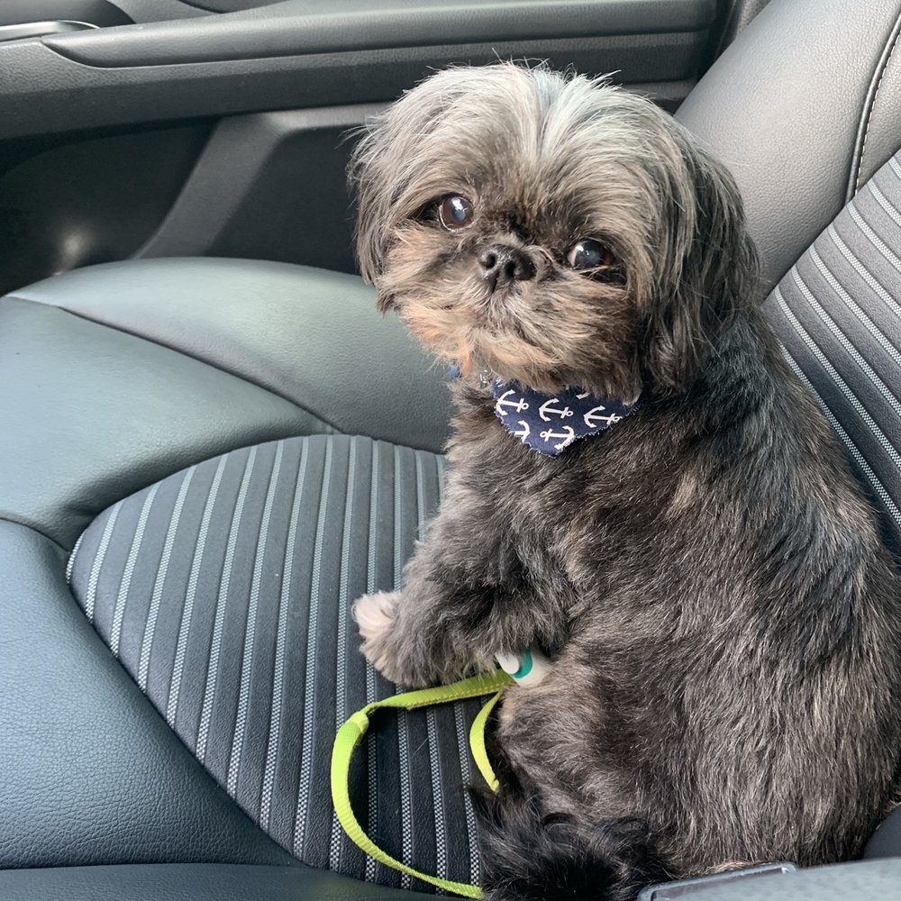 He looks so cute!!
