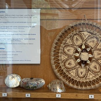 Museum of the Earth - Shell display - Museums Near Me - Ithaca, New York
