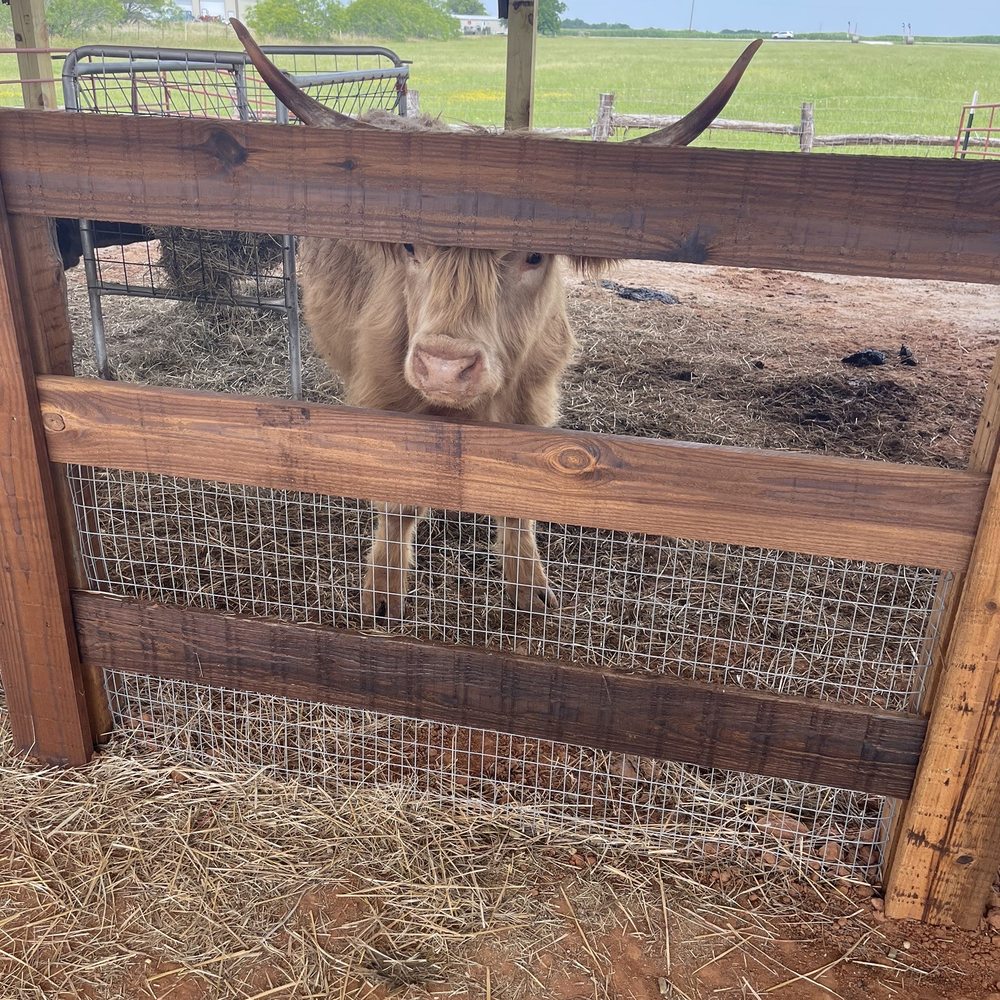 Western Belle Farm - Attraction Farms Near Me - West, Texas Western Belle Farm - Attraction Farms Near Me - West, Texas