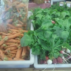 Wasatch Front Farmers Market Store - Radishes & carrots