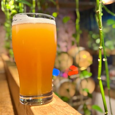 Young Blood Beer Company - King Street by null