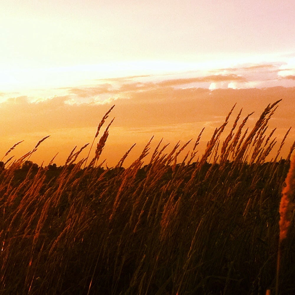 Myer's Horse Farm - equestrian in Ashland, OH