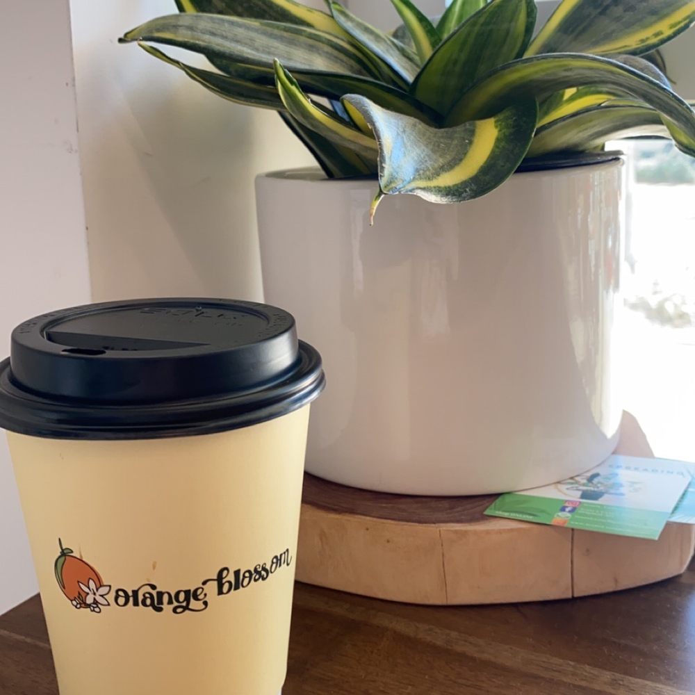 Orange Blossom Coffee - Coffee & Tea Near Me - Bradenton, Florida Orange Blossom Coffee - Coffee & Tea Near Me - Bradenton, Florida