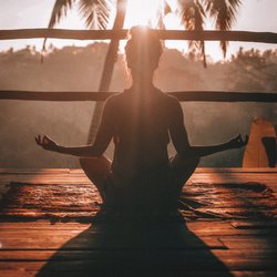 Johanna Transformations