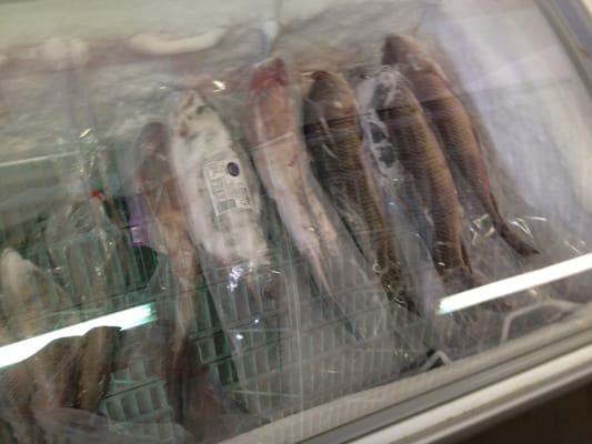 Phongsavan Market Place by null