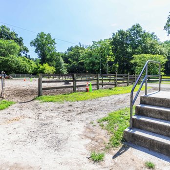 Bronx Equestrian Center - Horseback Riding Near Me - The Bronx, New York