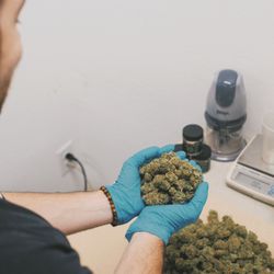 Organic Solutions of the Desert - Desert Heat - Blue Dream