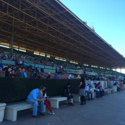 Sunshine Millions Wine Festival - Race track seating