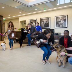 Olde Towne Pet Resort - Rockville Lobby
