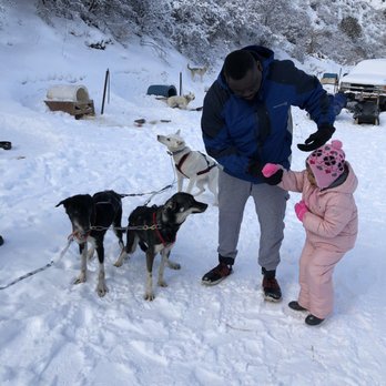 Bear Ridge Adventures - Warming up to the dogs before the ride - Sledding Near Me - Coalville, Utah Bear Ridge Adventures - Warming up to the dogs before the ride - Sledding Near Me - Coalville, Utah