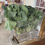 Photo of Sawyers Produce