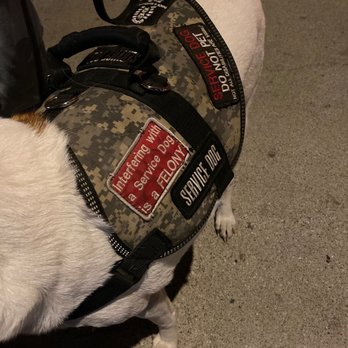 Joseph's Bar & Grill - service dog being denied entry to Joseph's. - New American Near Me - Downey, California Joseph's Bar & Grill - service dog being denied entry to Joseph's. - New American Near Me - Downey, California