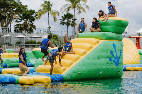 The LineUp at Wai Kai by null