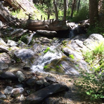 San Gorgonio 9 Peaks Challenge - Alger creek - Hiking Near Me - Forest Falls, California