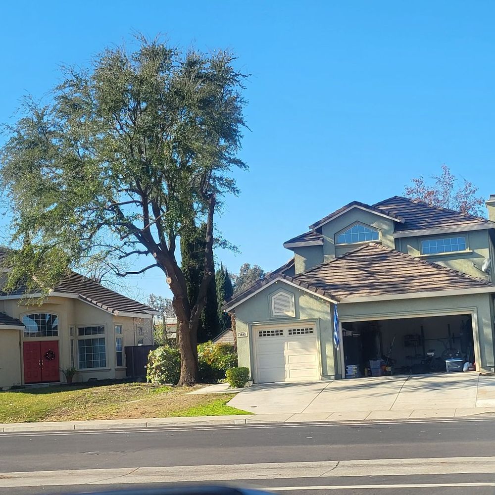 Turf-N-Tree - Landscaping Near Me - Tracy, California