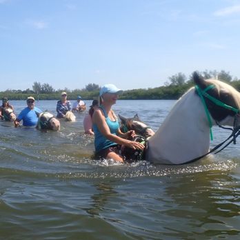 CPonies - Horseback Riding Near Me - Bradenton, Florida