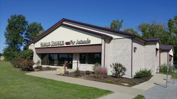 Central Hospital For Animals 300 Rushing Dr Herrin Il Veterinarians Mapquest
