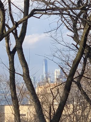 Owl's Head Park by null