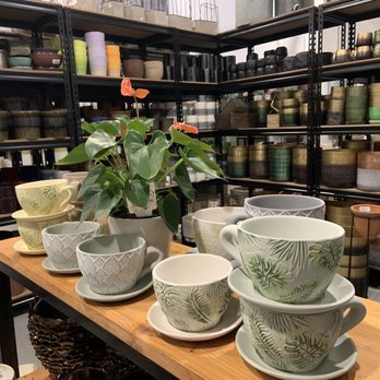 Jordan's Jungle - Nurseries & Gardening Near Me - Pawtucket, Rhode Island