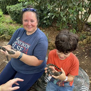 Zoological Wildlife Foundation - Baby alligator encounter - Zoos Near Me - Miami, Florida Zoological Wildlife Foundation - Baby alligator encounter - Zoos Near Me - Miami, Florida