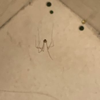 Courtyard by Marriott Philadelphia Great Valley/Malvern - More spiders! - Hotels Near Me - Malvern, Pennsylvania Courtyard by Marriott Philadelphia Great Valley/Malvern - More spiders! - Hotels Near Me - Malvern, Pennsylvania