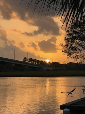 Dockside Seafood Restaurant Jax Beach by null