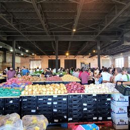 Overview of the market Overview of the market