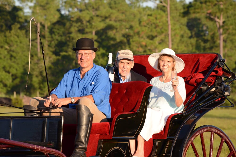 LUCKY V RANCH Updated June 2024 24 Photos 4159 Saddle Club Dr