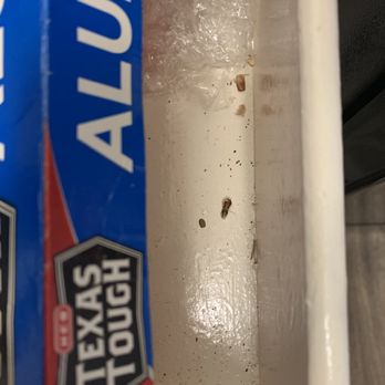 Meadows Apartments - We would clean our cabinets once every two weeks- this kept happening until we got our place bombed TWICE! - Apartments Near Me - Universal City, Texas