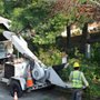 Photo of Fair Tree & Landscaping Services