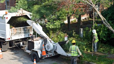 Fair Tree & Landscaping Services - tree service in Princeton, NJ