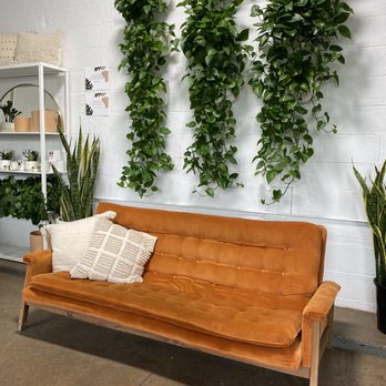 Fern - Home Decor Near Me - Cincinnati, Ohio Fern - Home Decor Near Me - Cincinnati, Ohio