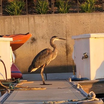 Gondola Paradiso - Boat Charters Near Me - Oxnard, California
