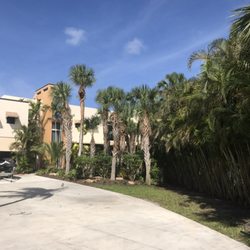 In the Son Lawn Maintenance - Afte pic / General clean up June 2017