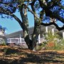 Photo of Vintroux Real Estate