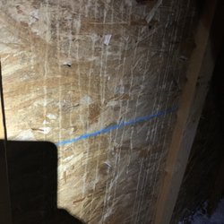 Penobscot Cleaning Services - You can see large areas where there spray missed. No mold on spray, lots of mold everywhere else.